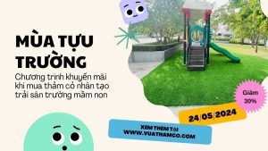 Khuyến mãi cỏ nhân tạo 2024