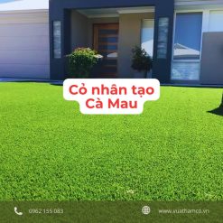 Cỏ nhân tạo Cà Mau