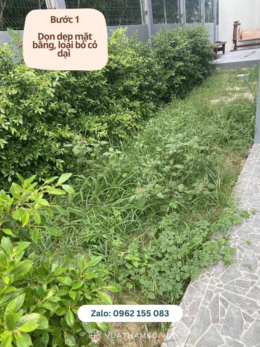 Thi công cỏ nhân tạo Thủ Dầu Một