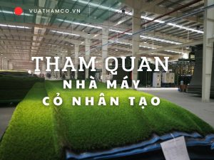 Tham quan nhà máy sản xuất cỏ nhân tạo