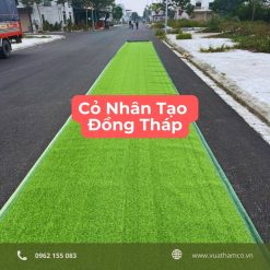 Cỏ nhân tạo Đồng Tháp
