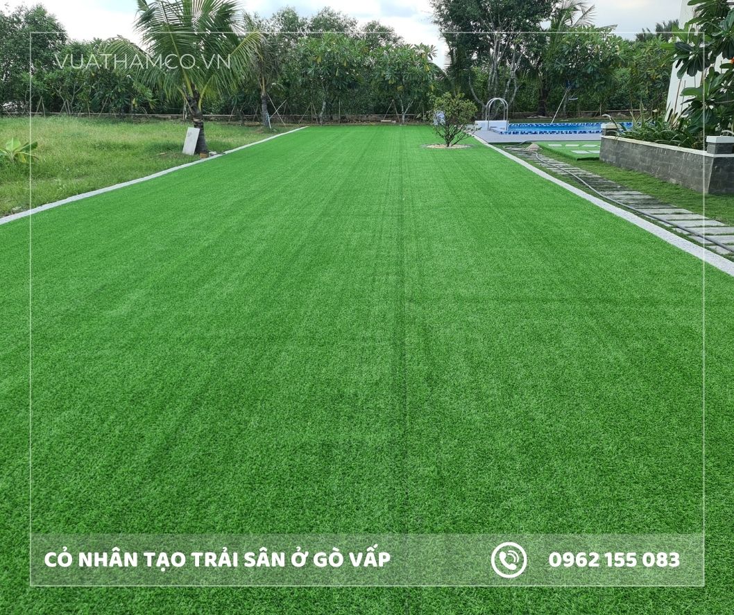 Cỏ nhân tạo trải sân vườn Gò Vấp