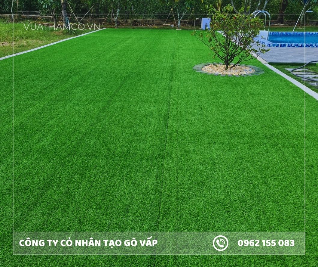Cỏ nhân tạo sân vườn Gò Vấp