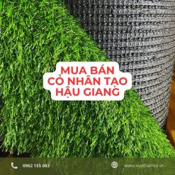 Cỏ nhân tạo Hậu Giang