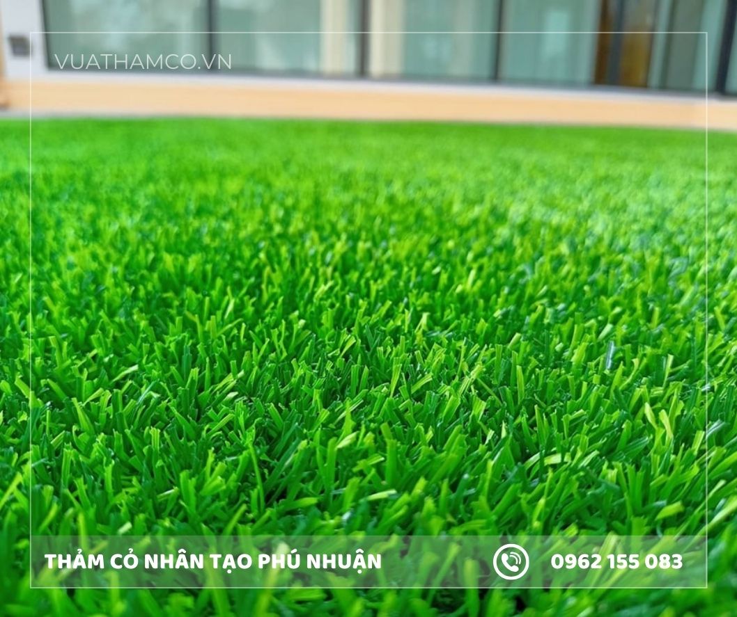 Cỏ nhân tạo trải sàn quận Phú Nhuận