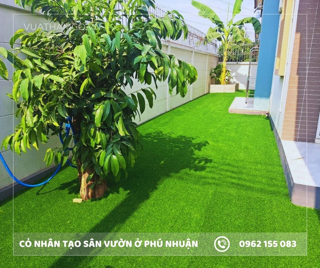 Cỏ nhân tạo trải sân vườn quận Phú Nhuận