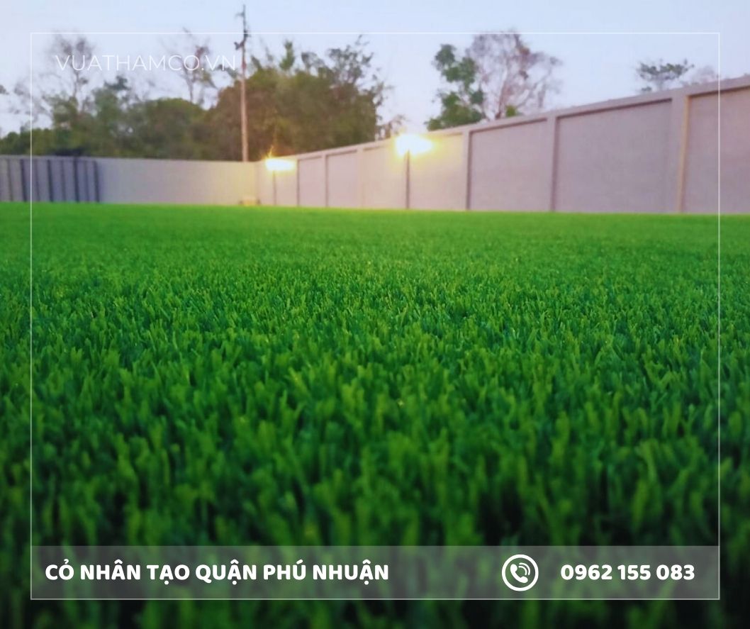 Thảm cỏ nhân tạo quận Phú Nhuận