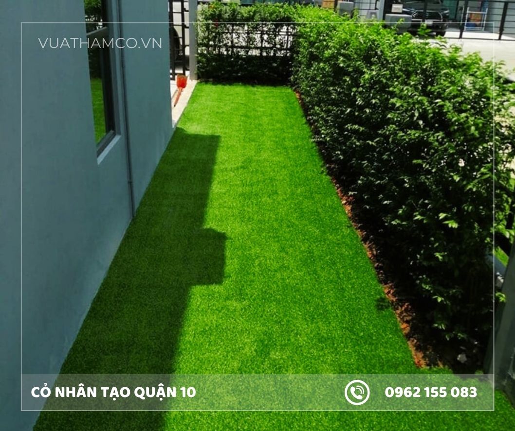 Cỏ nhân tạo Quận 10