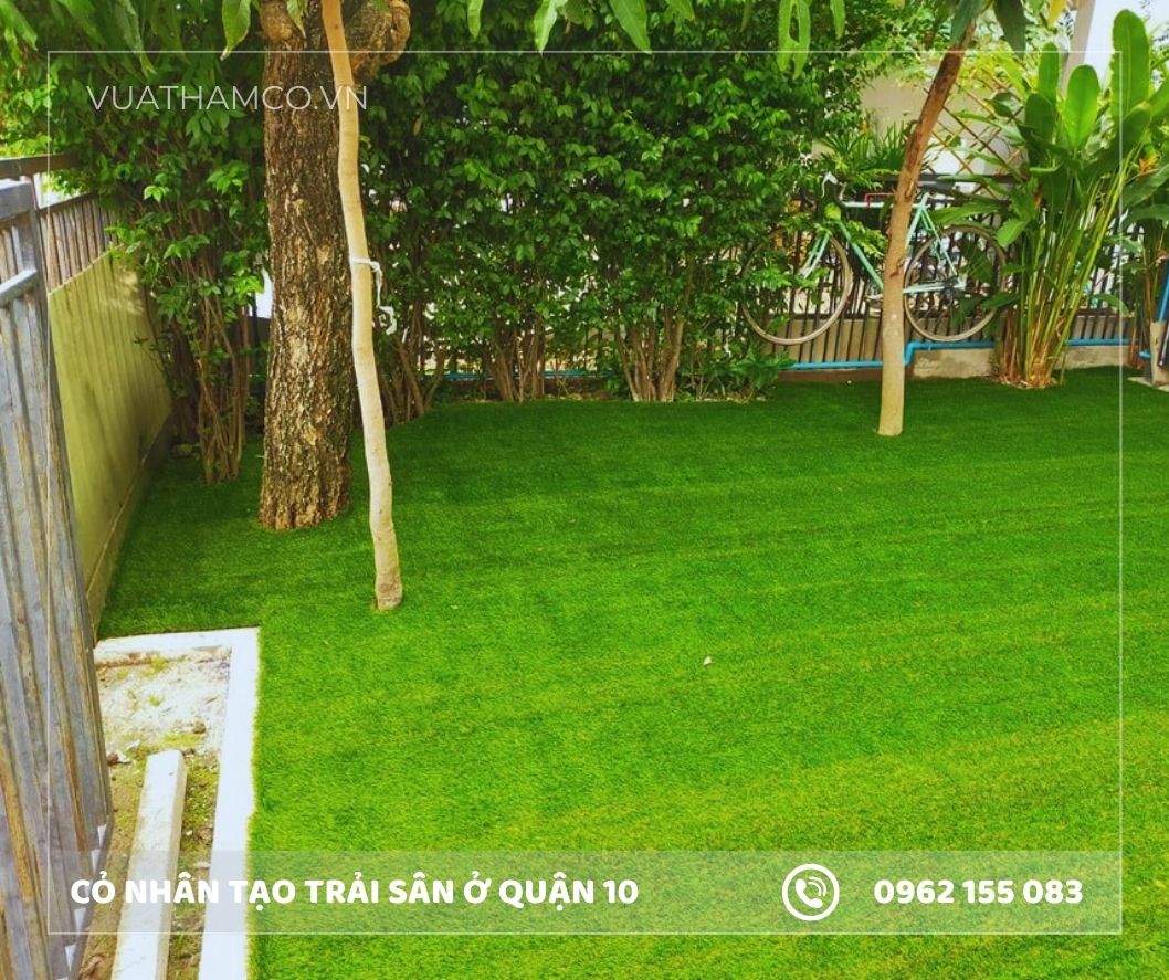 Cỏ nhân tạo sân vườn Quận 10