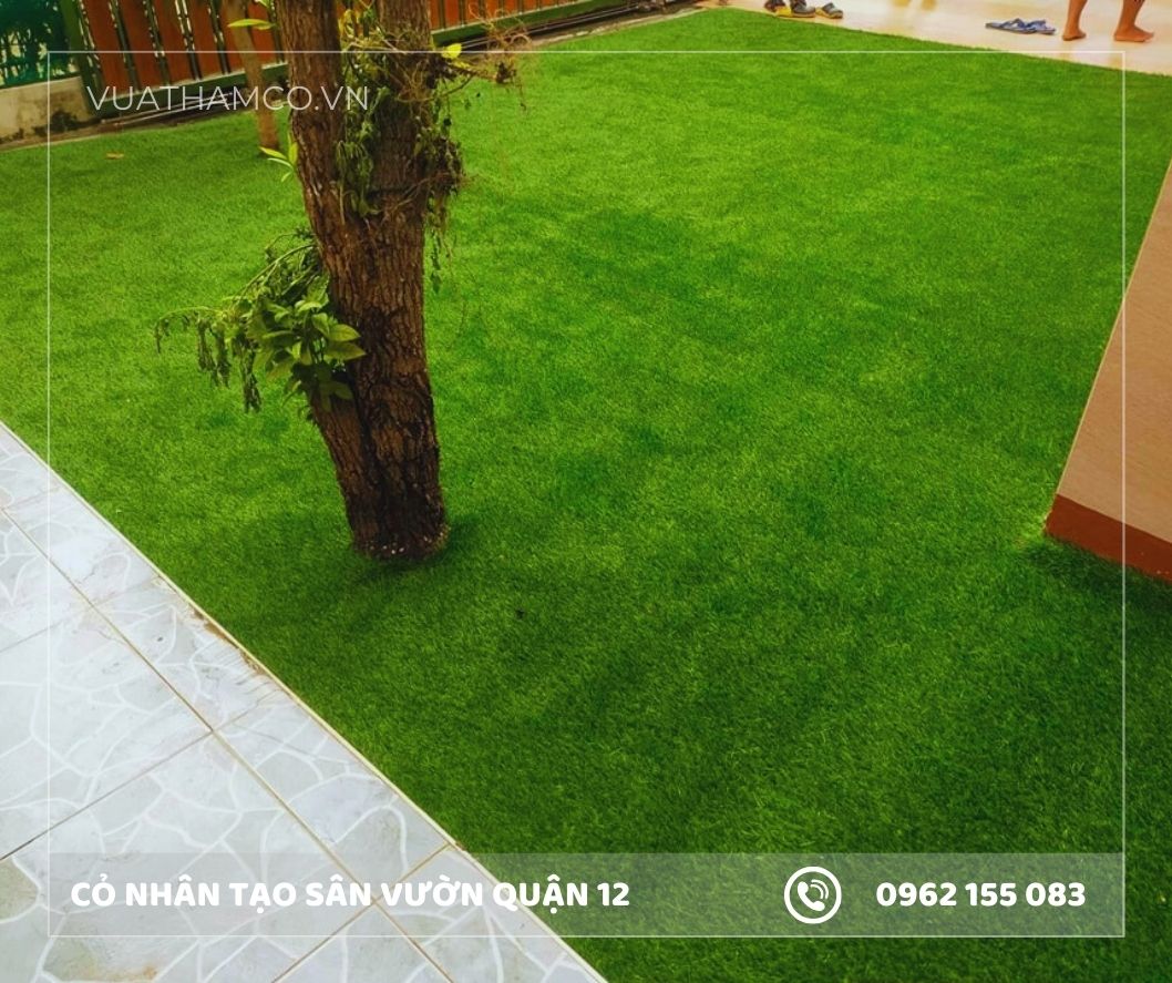 Cỏ nhân tạo trải sân vườn Quận 12