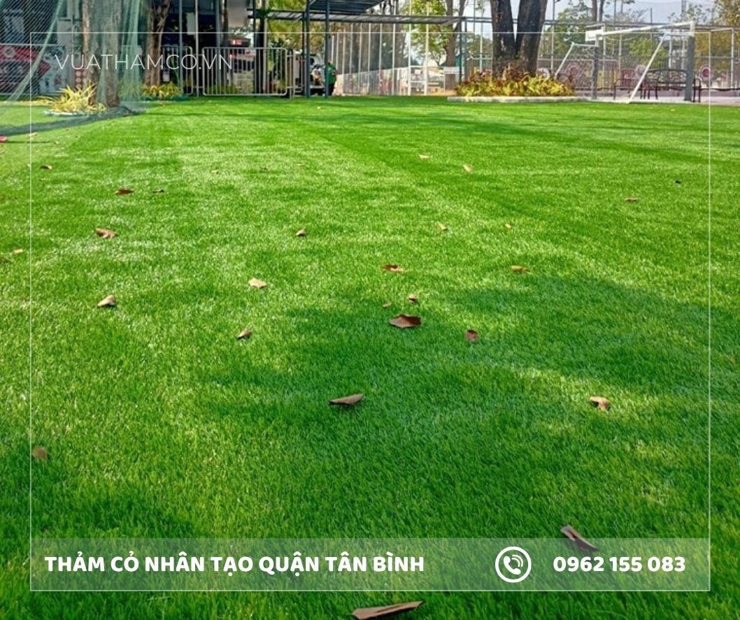 Thi công cỏ nhân tạo quận Tân Bình
