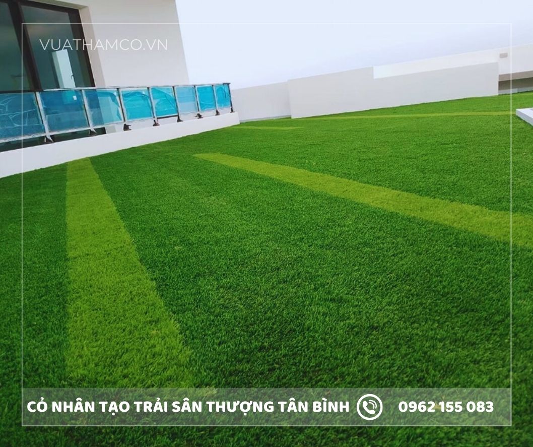 Cỏ nhân tạo sân vườn quận Tân Bình