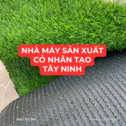 Cỏ nhân tạo Tây Ninh