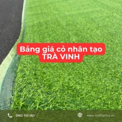 Cỏ nhân tạo Trà Vinh