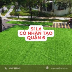 Cỏ nhân tạo Quận 6